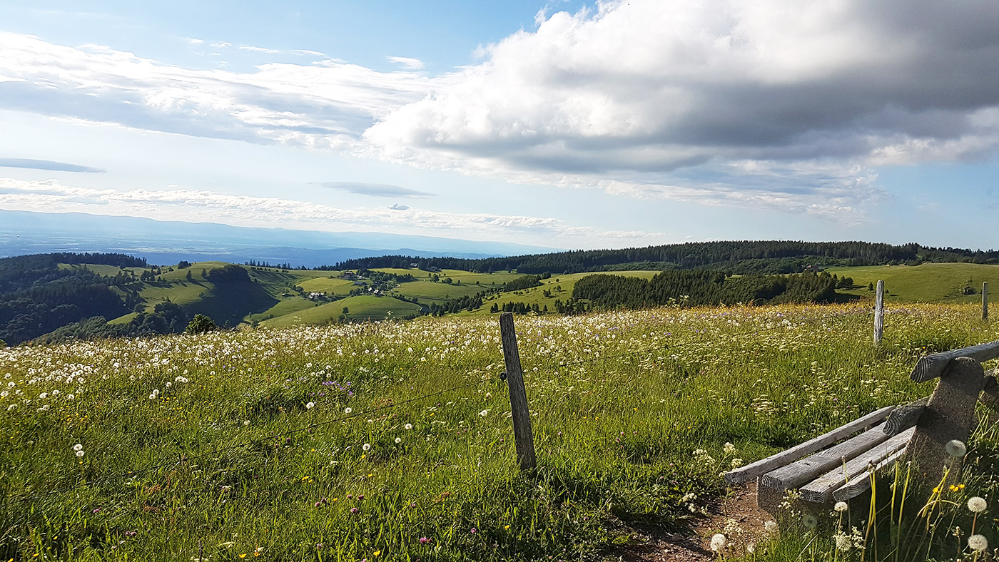 Urlaub auf dem Bauernhof Sägenbach Schwarzwald