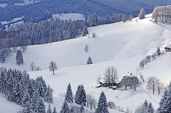 Winter am Stohren